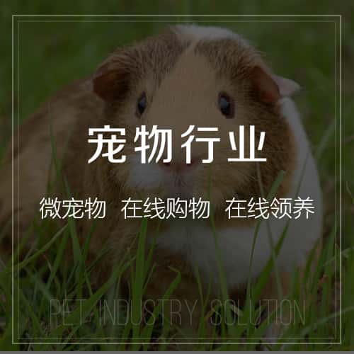 常德宠物