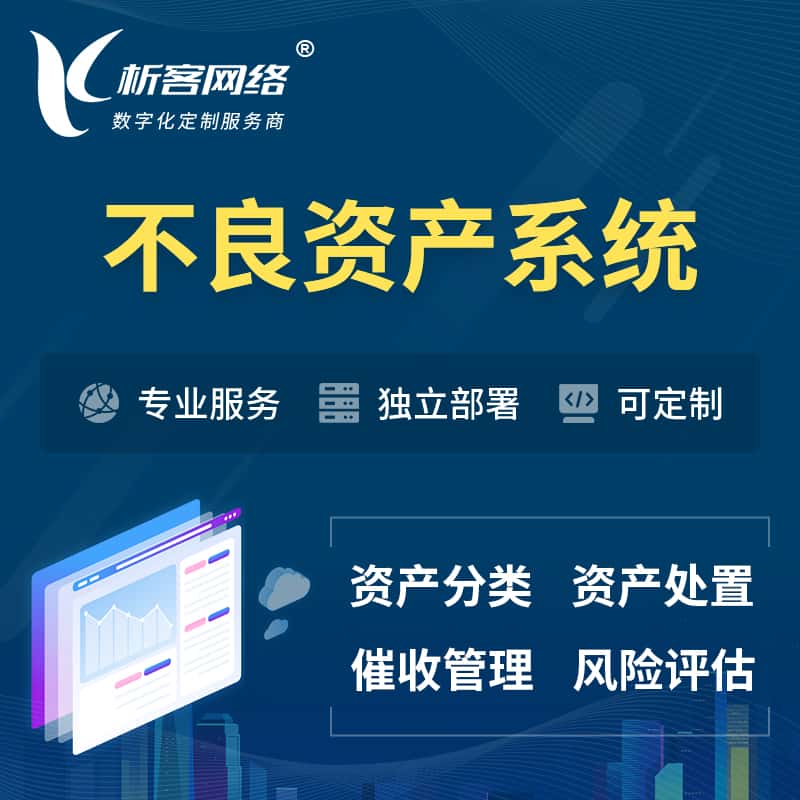 常德不良资产管理系统